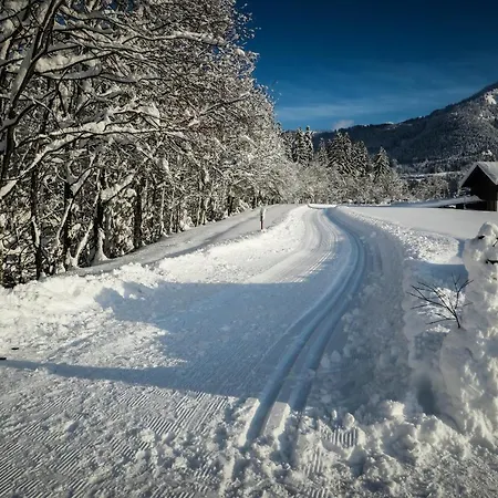 Vasilico Apartament *